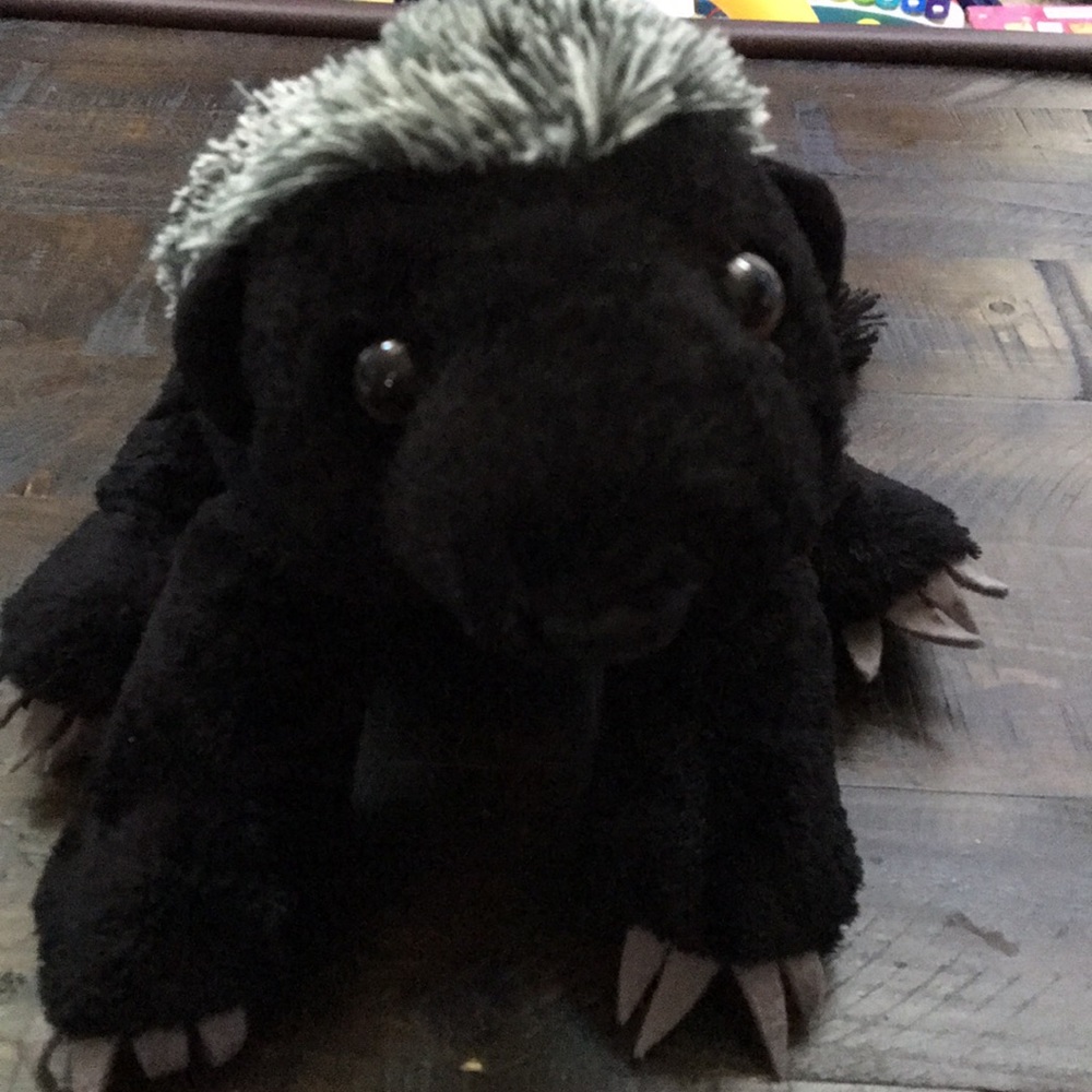 Meet your Posher, Laura